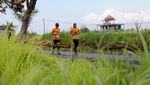 Melihat Lagi Keseruan Maybank Marathon 2022 di Bali