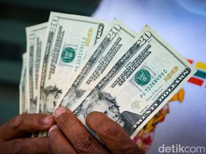 Viral Turis Inggris Ketipu Money Changer Bodong di Canggu
