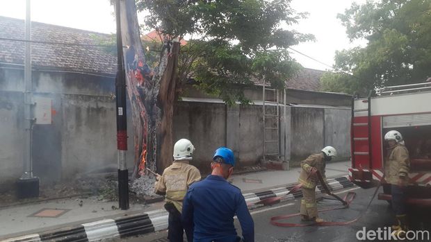 Sebuah pohon terbakar di dekat Tugu Muda Semarang, Selasa (30/8/2022).