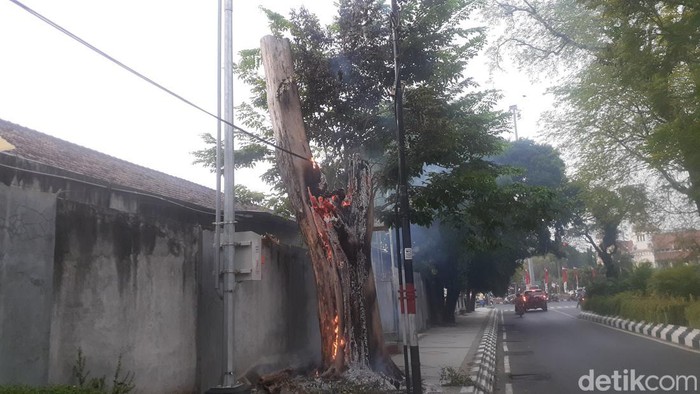 Sebuah pohon terbakar di dekat Tugu Muda Semarang, Selasa (30/8/2022).
