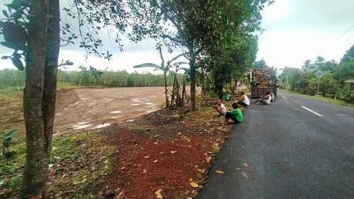 Tanah di unit usaha perkebunan Perusda Bali diratakan untuk peletakan batu pertama Jalan Tol Giimanuk-Mengwi, di Desa Pekutatan, Jembrana, Bali, Selasa (30/8/2022).