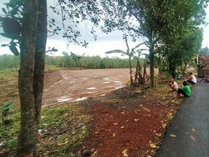 Duh! Proyek Jalan Tol Ini Hilangkan 98 Titik Subak di Bali