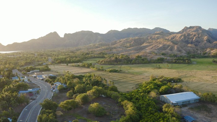 tapalbataswini