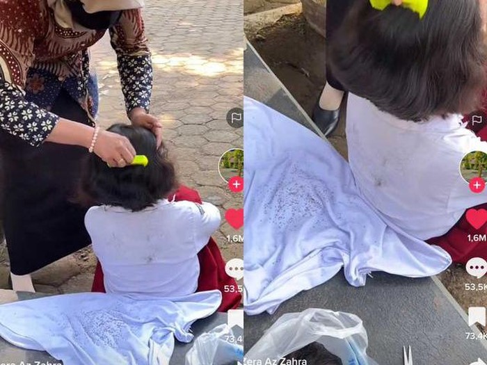 Kisah guru yang terpaksa memotong rambut anak muridnya dan membantu membuang kutu tuai pujian dari warganet. Kisah guru yang terpaksa memotong rambut anak muridnya dan membantu membuang kutu tuai pujian dari warganet.