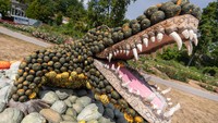 Para seniman membangun monumen labu sesuai dengan temanya. Persiapan festival ini dimulai sejak April 2022, dimulai dengan menanam labu. (Christoph Schmidt/picture alliance/Getty Images)
