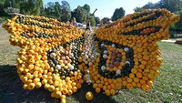 Terdapat beragam makanan olahan labu di festival ini seperti sop labu, es krim labu, pasta labu, dan banyak lagi. Beragam makanan itu dijual, dan keuntungannya didonasikan. (Thomas Kienzle/AFP/Getty Images)