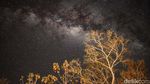 Menikmati Lanskap Milky Way di Perbatasan RI-Timor Leste, Nih Fotonya