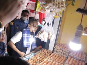 Mendag Nilai Harga Ayam di Samarinda Terlalu Murah, Bisa Rugikan Pedagang
