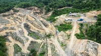 Pembangunan jalan dan tahap konstruksi masih terus berlangsung. PLTA Kayan Cascade memanfaatkan area sepanjang sungai Kayan dan terdiri atas 5 bendungan dengan 5-6 unit turbin pembangkit tiap bendungannya. 