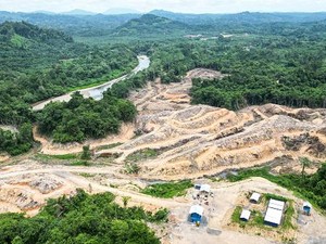 Walhi Soroti Amdal Proyek PLTA Kayan di Kaltara Sulit Diakses Publik