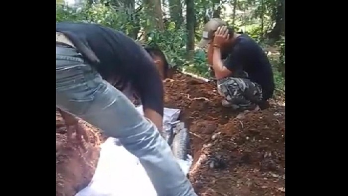 Penampakan ikan dewa yang mati massal di Cibulan Kuningan