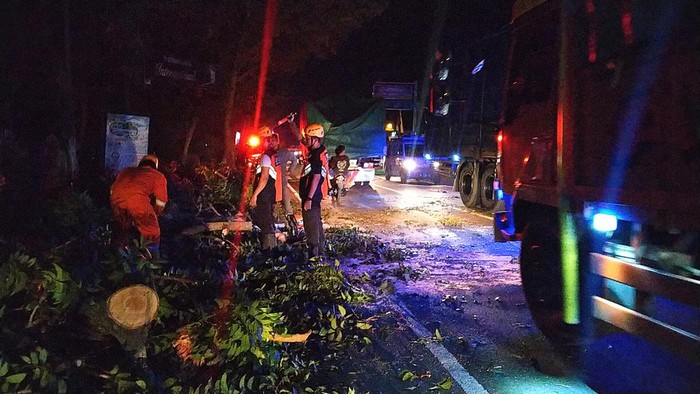 Petugas melakukan evakuasi batang pohon yang jatuh menimpa mobil di Jalan  Denpasar - Gilimanuk, Desa Banyubiru, Kecamatan Negara Jembrana Bali, Selasa malam (30/8/2022)