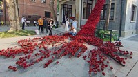Di Nanjing, China, ada sebuah instalasi unik berupa air terjun mawar. Instalasi ini menampilkan bunga mawar merah yang mengalir dari lantai dua sebuah bangunan. Karya ini dipamerkan pada 29 Mei 2022 lalu.