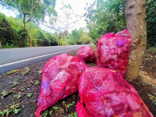 Sampah plastik yang berhasil dikumpulkan petugas kebersihan di pinggir Jalan Denpasar - Gilimanuk, kawasan hutan TNBB, Gilimanuk, Jembrana Bali, Rabu (31/8/2022)