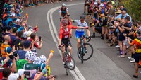 Pebalap tim Sunweb, Cees Bol dan Neil Van der Ploeg menghibur penonton dengan aksi wheelie pada etape ke-4 Tour Down Under, Australia, Januari 2019. Melakukan aksi wheelie atau standing dengan sepeda road bike terhitung sulit. Ban sepeda yang tipis, 23-28 mm, membuat wheelie butuh keberanian. (Peter Mundy/Getty Images)