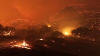 Kebakaran hutan seluas 19.500 hektar terjadi di selatan Danau Hughes, California, Amerika Serikat, Rabu (1/6/2021). (Getty Images/David McNew)  