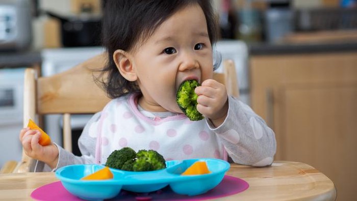 Ahli Gizi Ungkap 6 Trik Mudah agar Anak Mau Makan Sayur