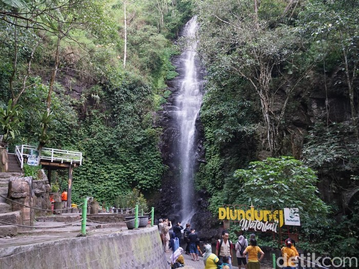 Air Terjun Dlundung berada di Kecamatan Trawas, Kabupaten Mojokerto. Tak hanya air terjunnya, panorama di sekitarnya juga sedap dipandang.