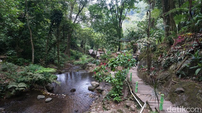 Air Terjun Dlundung Mojokerto Air Terjun Dlundung berada di Kecamatan Trawas, Kabupaten Mojokerto. Tak hanya air terjunnya, panorama di sekitarnya juga sedap dipandang.