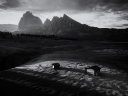 Karya Spektakuler Kontes Foto Hitam Putih, Siap-siap Terpana