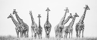 Black and White Photo Awards 2022