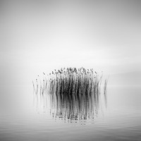 Black and White Photo Awards 2022