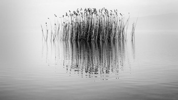 Haida Special Awards diraih George Digalakis Foto: Black and White Photo Awards