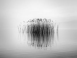 Karya Spektakuler Kontes Foto Hitam Putih, Siap-siap Terpana