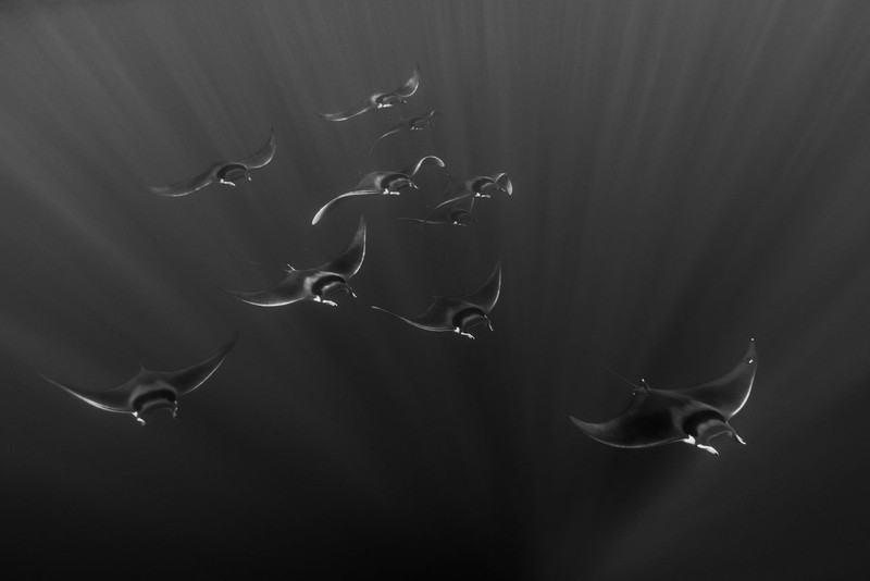 Black and White Photo Awards 2022