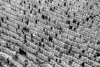 Black and White Photo Awards 2022