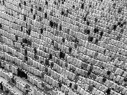 Karya Spektakuler Kontes Foto Hitam Putih, Siap-siap Terpana