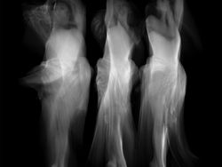 Karya Spektakuler Kontes Foto Hitam Putih, Siap-siap Terpana