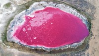 Danau Pink juga ada lho di Gurun Badain, China. Danau dengan warna merah muda tersebut terlihat sangat eksotis dari lensa drone yang diambil pada 1 Mei 2020.