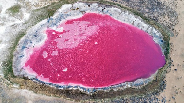 Danau Pink juga ada lho di Gurun Badain, China. Danau dengan warna merah muda tersebut terlihat sangat eksotis dari lensa drone yang diambil pada 1 Mei 2020. Danau Pink juga ada lho di Gurun Badain, China. Danau dengan warna merah muda tersebut terlihat sangat eksotis dari lensa drone yang diambil pada 1 Mei 2020.