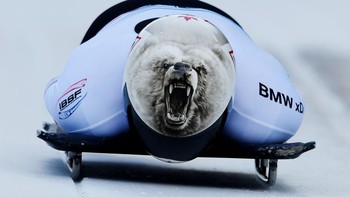 Bukan beruang sungguhan lho ya, melainkan hanya helm dari seorang atlet saat meluncur di BMW IBSF World Cup, Austria, pada 3 Februari 2017.