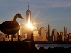 Foto-foto Ilusi Optik yang Bikin Terheran-heran