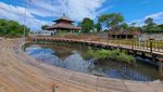 Kawasan Mangrove di Bali Ditata Jelang KTT G20, Begini Potretnya