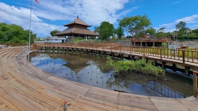 Kawasan Mangrove di Bali Ditata Jelang KTT G20, Begini Potretnya