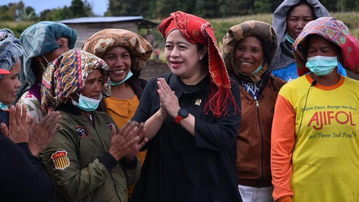 Ketua DPP PDI Perjuangan (PDIP) Puan Maharani