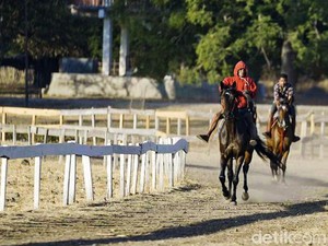 Pordasi Akan Buat Arena Kuda Pacu Internasional