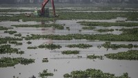 Unit Pelaksana Kebersihan (UPK) Badan Air Dinas Lingkungan Hidup (DLH) DKI Jakarta melakukan pembersihan Waduk Pluit dari eceng gondok  untuk mencegah terjadinya pendangkalan air di waduk tersebut. 