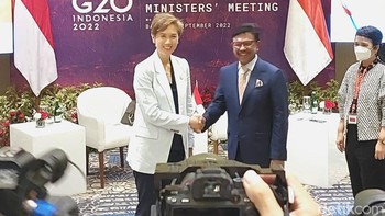 Ini saat bertemu dengan Menteri Komunikasi dan Informasi Singapura, Josephine Theo. Foto: Fino/detikinet