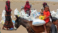 Keledai masih dipergunakan sebagai alat transportasi untuk mengambil bantuan pengungsi. Bantuan makanan hingga pasokan untuk memenuhi kebutuhan dasar para pengungsi Yaman terus berdatangan, meski harus diberikan di tengah padang pasir yang menyengat. (Saleh Al-Obeidi/AFP/Getty Images)  