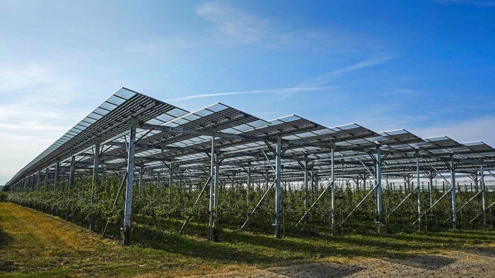 Solar panels are installed over an organic orchard in Gelsdorf, western Germany, Tuesday, Aug. 30, 2022. Solar installations on arable land are becoming increasingly popular in Europe and North America, as farmers seek to make the most of their land and establish a second source of revenue. (AP Photo/Martin Meissner)