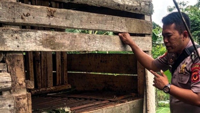 Polisi mengecek kandang dari domba-domba yang hilang dan mati misterius di Sukabumi