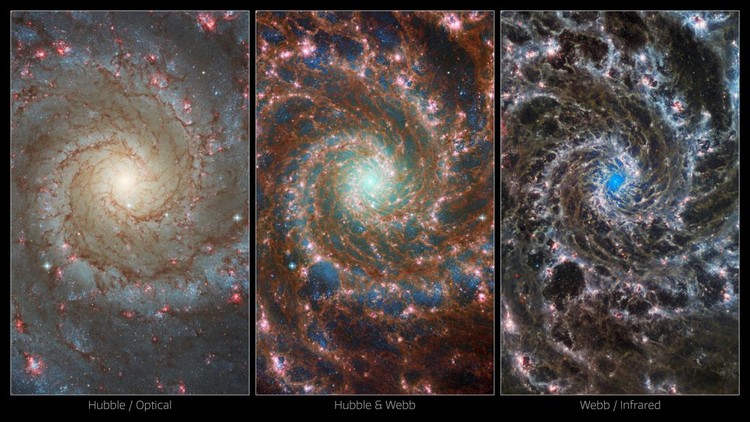 View of M74, otherwise known as the Phantom Galaxy, taken by the NASA/ESA/CSA James Webb Space Telescope, in this handout image released August 29, 2022. Webb’s sharp vision reveals delicate filaments of gas and dust in the spiral arms which wind outwards from the centre of this image.  NASA/ESA/CSA James Webb Space Telescope/Handout via REUTERS    THIS IMAGE HAS BEEN SUPPLIED BY A THIRD PARTY. MANDATORY CREDIT     TPX IMAGES OF THE DAY
