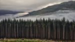 16 Foto Spektakuler Cuaca, dari Sambaran Petir sampai Kabut di Tibet