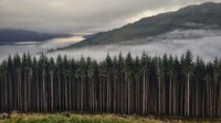 Pemandangan berkabut ke arah Tarbet, Loch Lomond di Skotlandia karya Vince Campbell.