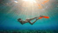 Alyssa Daguise menikmati alam bawah laut Labuan Bajo dengan menyelam. Foto: Instagram Alyssa Daguise