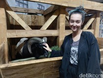 Profil Fabiola Elizabeth, Neng Bule Jerman di Balik Scammer VC